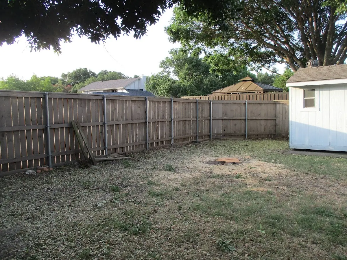 Cleared yard after professional tree removal in Bethelridge